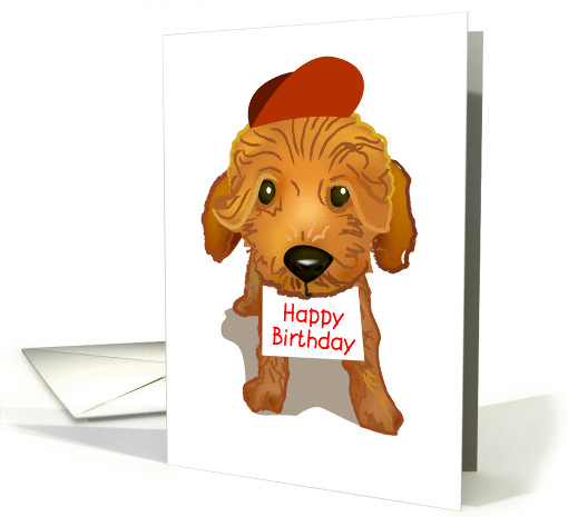 brown toy poodle, happy birthday, card (872156)