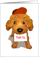 brown toy poodle, thank you, card