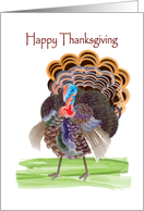 happy thanksgiving, turkey card