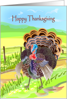happy thanksgiving, turkey card