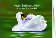 happy birthday, mom! from your favorite kid. swan card