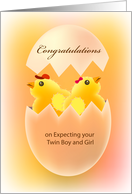 Congratulations On expecting your twin boy and girl, egg hatching card