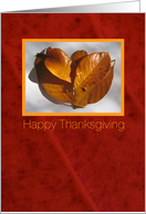 Happy Thanksgiving, autumn leafs in love shape card