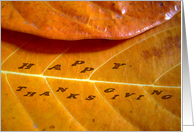 Happy Thanksgiving, autumn leafs with text on it card