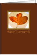 Happy Thanksgiving,...