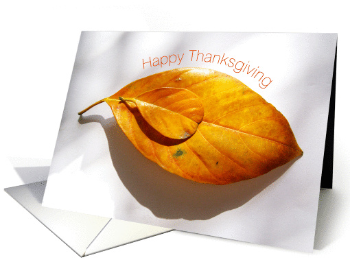 Happy Thanksgiving, two autumn leafs card (881620)
