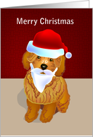 Merry Christmas, brown toy poodle in santa hat & beard card