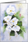 White Orchid Bouquet blank note card