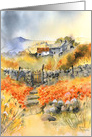 Through the Poppies,Swaledale, Yorkshire, England card