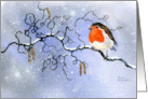 Christmas Robin on Snowy Branch card