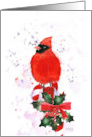 Christmas Cardinal Perched on a Candy Cane card