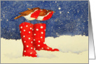 Christmas Robins, Polka dot boots in snow card