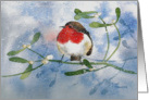 Christmas, Robin and Mistletoe card