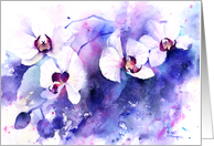 White Orchid blank note card