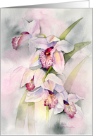 Pink Orchid Spray blank note card