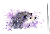 Hedgehog card