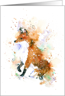 Sitting Fox card