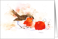 Robin and Bauble...