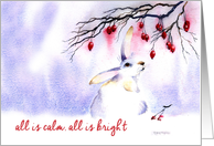 Christmas Hare and...