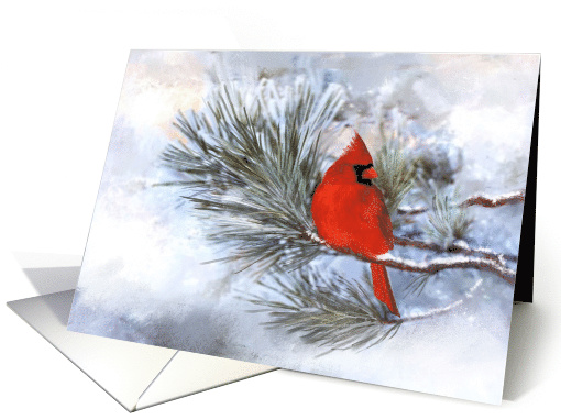 Red Cardinal Christmas card (1545790)