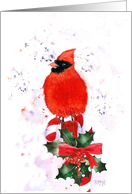 Christmas Cardinal Perched on a Candy Cane card