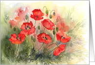 Poppies card