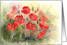 Poppies card