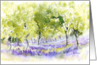 English Bluebells card