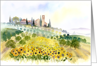 Sunflowers and olive...