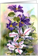 Two Clematis card