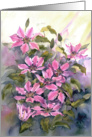 Nellie Moser Clematis card