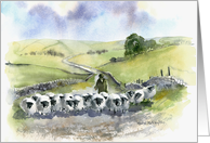 Yorkshire Dales Shepherd card