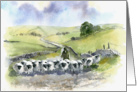 Yorkshire Dales Shepherd card