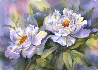 White Peonies