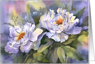 White Peonies card