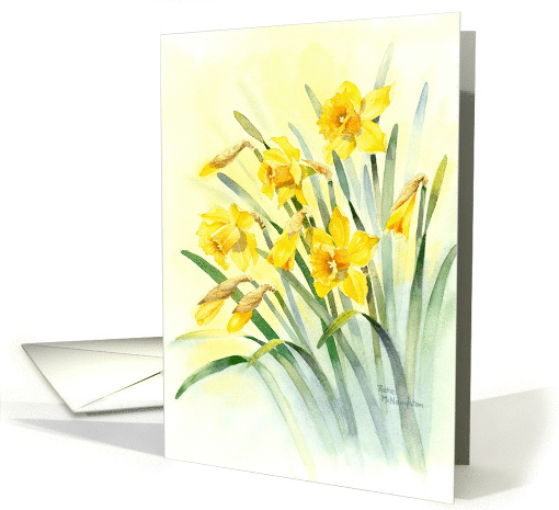 Sunny Yellow Daffodils for Easter card (243080)