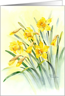 Sunny Yellow Daffodils for Easter card