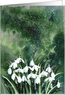 Snowflake, snowdrop card