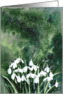 Snowflake, snowdrop card