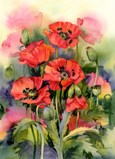 Oriental Poppies