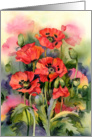 Oriental Poppies card