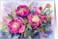 Bowl of Beauty Peonies card