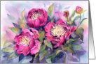 Bowl of Beauty Peonies card