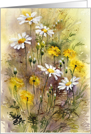 Meadow Flowers