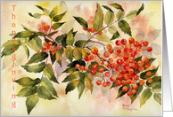 Thanksgiving Rowan Berries card