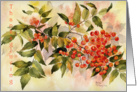 Thanksgiving Rowan Berries card