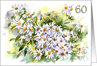 60th Birthday Daisy, Daisy card