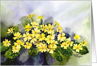 Primroses Easter card