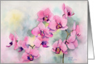 Pink orchid card