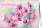 Mother’s Day Pink orchid card